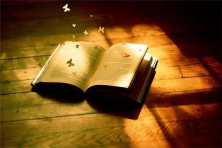 怎么提高云南成人高考復(fù)習(xí)效率？如何抓住重點(diǎn)？