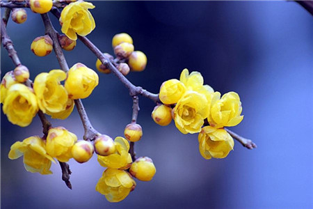 「西南林業(yè)學(xué)院」成人高考要考幾天呢？