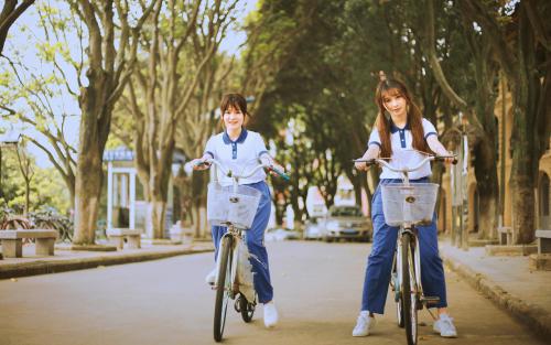 云南大學(xué)成人高考