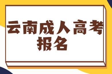 云南成人高考報名