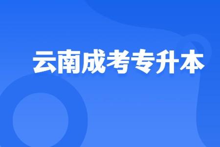 云南省成考專升本