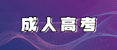 文山成人高考報(bào)名