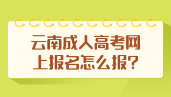 云南成人高考網(wǎng)上報名