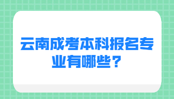 云南成考本科報(bào)名專業(yè)