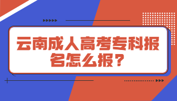 云南成人高考專科報(bào)名