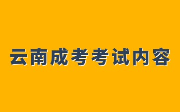 2024年云南成人高考高起點考試內容
