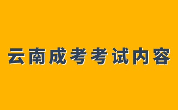 2024年云南成考考試大綱內(nèi)容分析