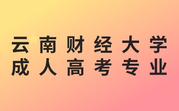 2024年云南財經(jīng)大學(xué)成人高考有哪些推薦專業(yè)？