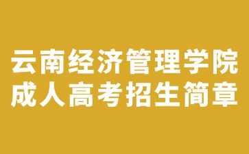 2024年云南經(jīng)濟(jì)管理學(xué)院成人高考招生簡(jiǎn)章