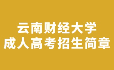 2024年云南財經大學成人高考招生簡章
