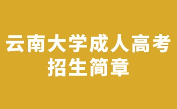 2024年云南大學成人高考招生簡章